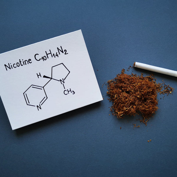 snoot tobacco All the most important questions about nicotine in Snus answered