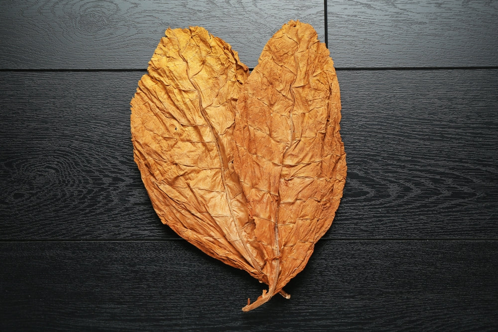 Kann Tabak schlecht werden?